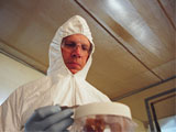 Lab